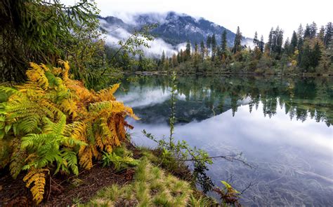 Natureza Montanha Nevoeiro Lago Paisagem Florestal Ultrahd 4k