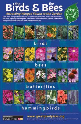 Also known as horsemint, bergamot, and monarda, bee balm is a small perennial flower that often attracts bees, butterflies, and hummingbirds in equal measure. Plants That Celebrate Spring: Link to Great Plant Picks ...