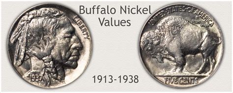 Buffalo Nickel Value Discover Their Worth