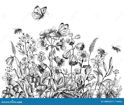 Hand Drawn Wildflowers Bees And Butterfly Stock Illustration