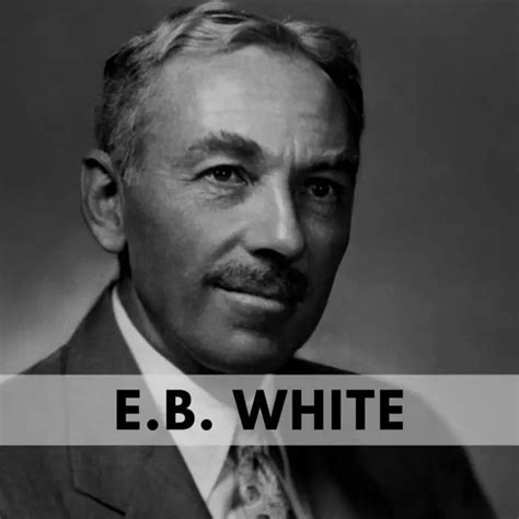 E B White Quotes Scribble Whatever