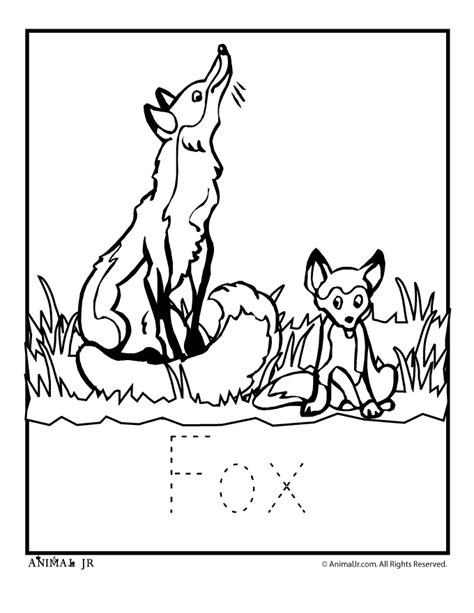 zoo-babies-fox | Woo! Jr. Kids Activities