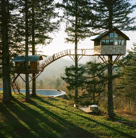 The Feral Irishman: Tree House Pron.....