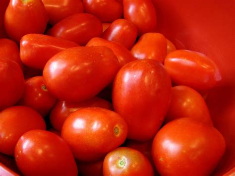 Roma Italian Tomato Seeds Heirloom Non Gmo Variety Sizes Free
