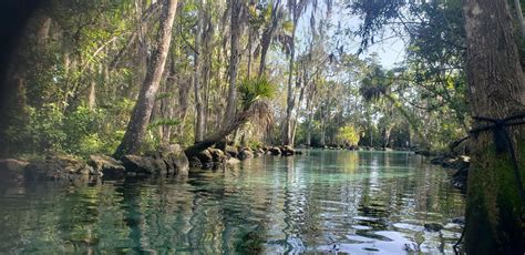 Three Sisters Springs Crystal River Florida Photo Credit To U