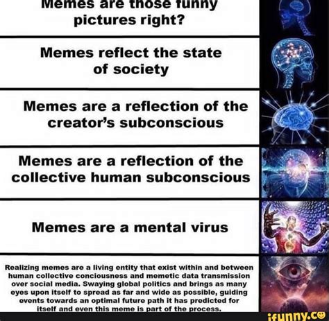 Memes Are Those Runny Pictures Right Memes Reflect The State Of