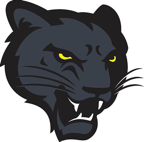 Black Panther Head Mascot Design Vector Art Illustration