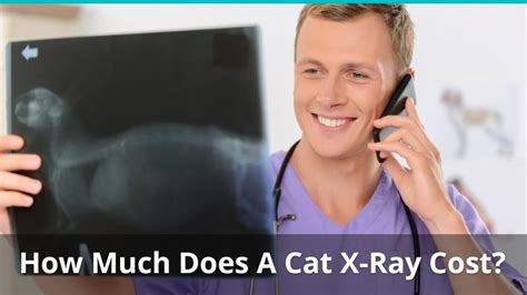 However, this is only an approximate number, as the cost it is best you take an insurance policy that would cover these costs, so you don't have to worry about individual costs and trips to the vet. How Much Does A Cat X-Ray Cost?