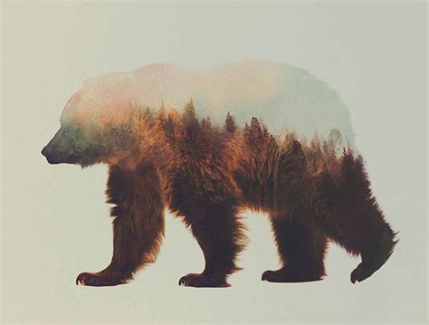 Incredible Double Exposure Animal Portraits By Andreas Lie Brown Bear