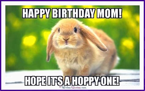 Funny Birthday Meme For Mom Birthdaybuzz