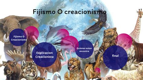 Fijismo O Creacionismo By Stefania G Orozco On Prezi