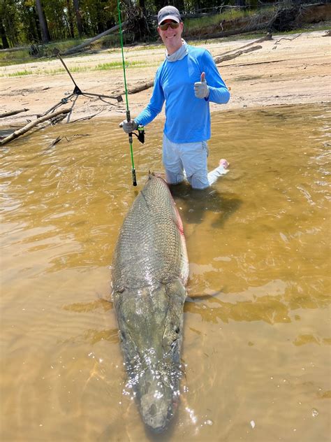 The 283lb Alligator Gar World Record That Was Caught On 6lb Line And The Rod And Reel That