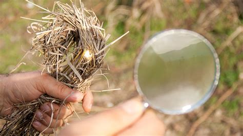 How To Start Campfires With Mirrors And Magnifying Lenses Fox News