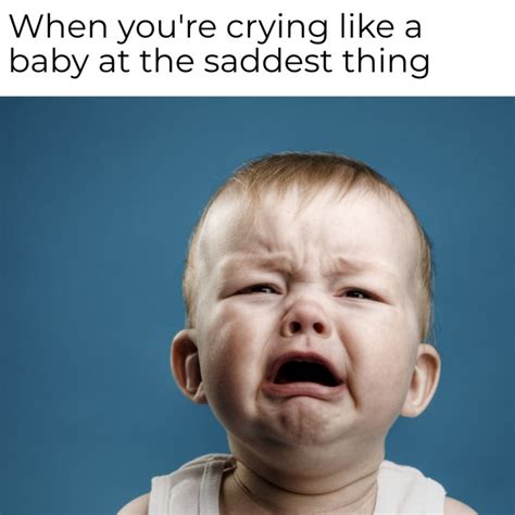 New Eddition Of 30 Funny Crying Memes To Boost Your Mood Bemorepanda
