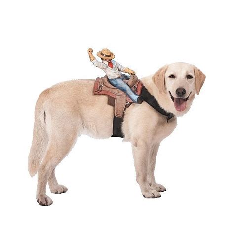 Ride On Cowboy Dog Costume Kyrawill Love This Hahaha Large Dog