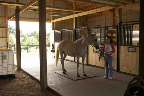Morton Barn Tim In 2020 Horse Barns Horses Equestrian Building