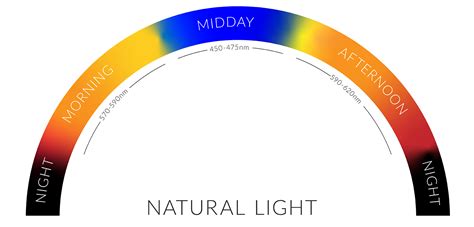 The Ultimate Guide To Circadian Lighting Hoare Lea