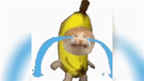 Sad Banana Cat Know Your Meme