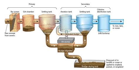 Maybe you would like to learn more about one of these? When you flush your toilet, where does the wastewater go ...