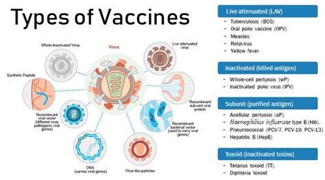 Approaches include rna, viral vector, whole virus and protein subunit. Vaccines- Introduction and Types with Examples