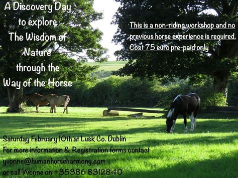 Up Coming Events Human Horse Harmony