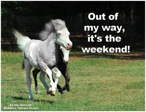Weekend Carousel Happy Friday Equines Whimsy Goats Pony Gentle