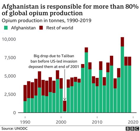 Afghanistan How Much Opium Is Produced And Whats The Talibans Record