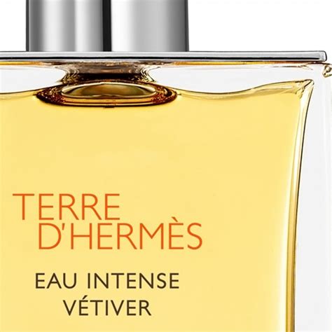 Terre Dhermès Eau Intense Vétiver Sabina