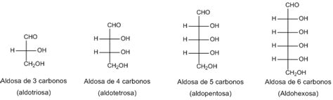 Características Básicas De Los Hidratos De Carbono OrgÁnic Chemistry