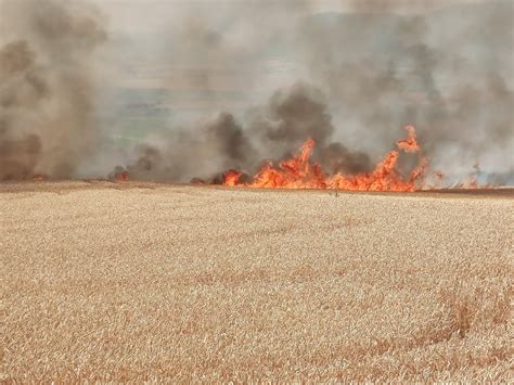 Wheat Fields Burn In Flames Iha News