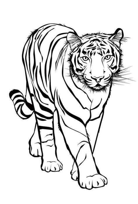 Pop up vorlage zum ausdrucken : Ausmalbilder tiger kostenlos - Malvorlagen zum ausdrucken - Page 2 sur 2 - AffeFreund.com