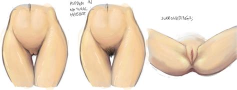 Hentai Foundry View Topic Help On Drawing Female Genitalia