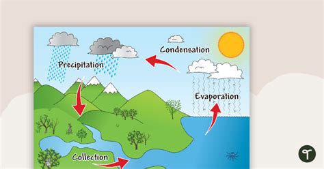The Water Cycle Poster Teach Starter
