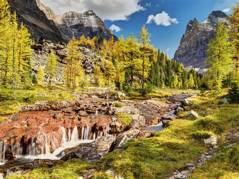 Landscapes Beautiful Places Boroova River Forest Mountain