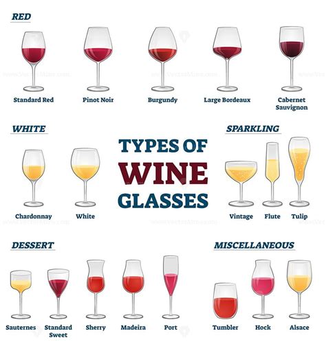Types Of Wine Glasses Educational Labeled Classification Example Collection Vectormine Types