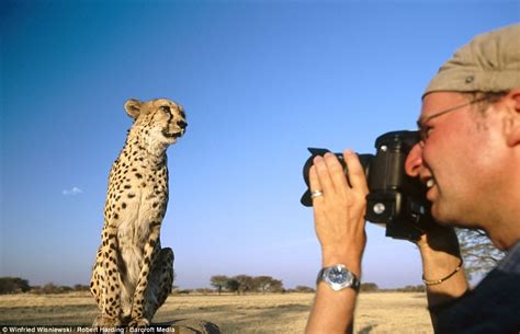 Im Ready For My Extreme Close Up Fearless Photographer Gets Up