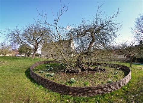 We didn't want to go too far into the. Sir Isaac Newton & The Apple Tree | Woolsthorpe Manor ...