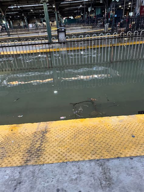 Hoboken Happy With Flood Free Streets Wednesday After 2 Inches Of