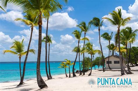 Catalina Island Dominican Republic Island Guide Top Rated Tours