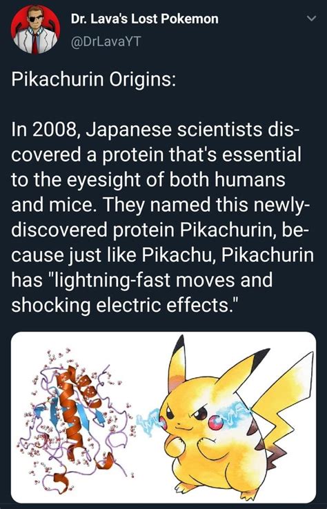Dr Lavas Lost Pokemon A Pikachurin Origins In 2008 Japanese