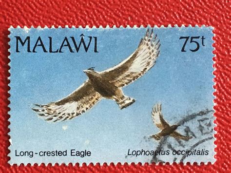 Malawi 1992 Birds 75t Long Crested Eagle Used Sg 878 Sc