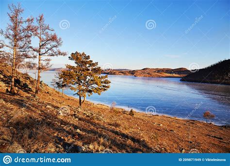 Lake Baikal In December View Of The Frozen Kurkut Bay In The Rays Of