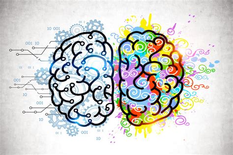 Los Hemisferios Cerebrales Funciones Y Diferencias Blog Noticias The