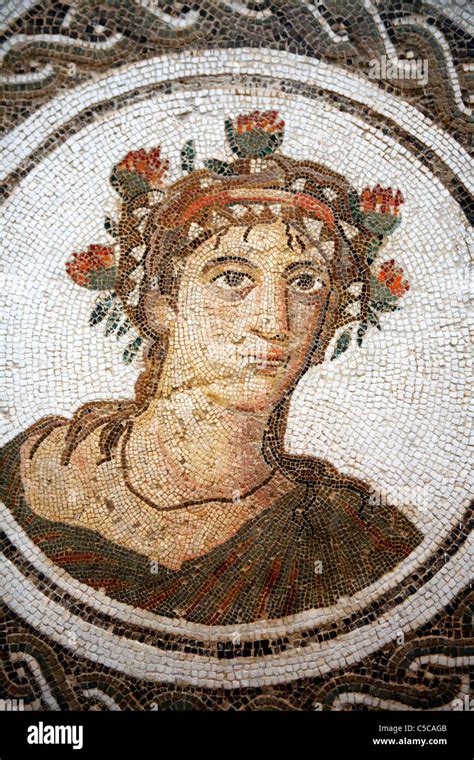 Roman Mosaic 3rd Century Archaeological Museum El Jem Tunisia