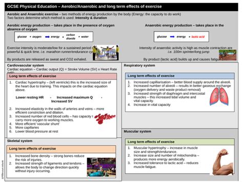 Gcse Pe Effects Of Exercise Teaching Resources