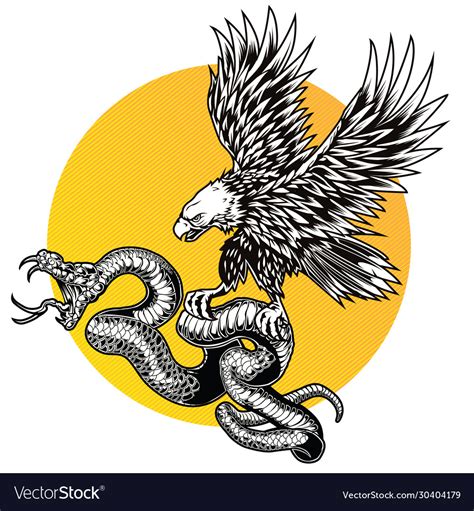 Snake And Eagle Logo Design Royalty Free Vector Image
