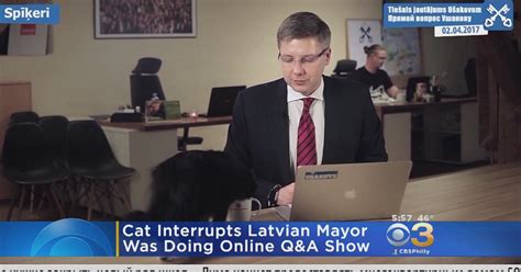 Cat Upstages Mayor During Live Q A CBS Philadelphia