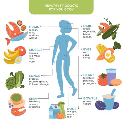 Healthy Food For Human Body Concept With Female Silhouette Healthy