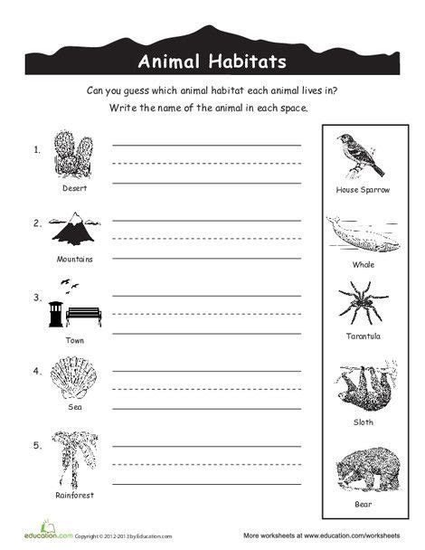 Animal Habitats For Kids Worksheet