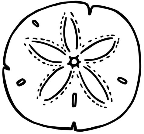 Sand Dollar Coloring Pages Printable Sketch Coloring Page